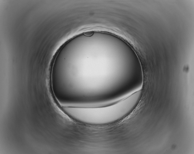 X0000100361518200806131003