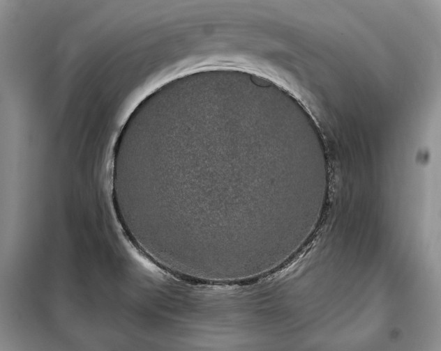 X0000100361519200806131003