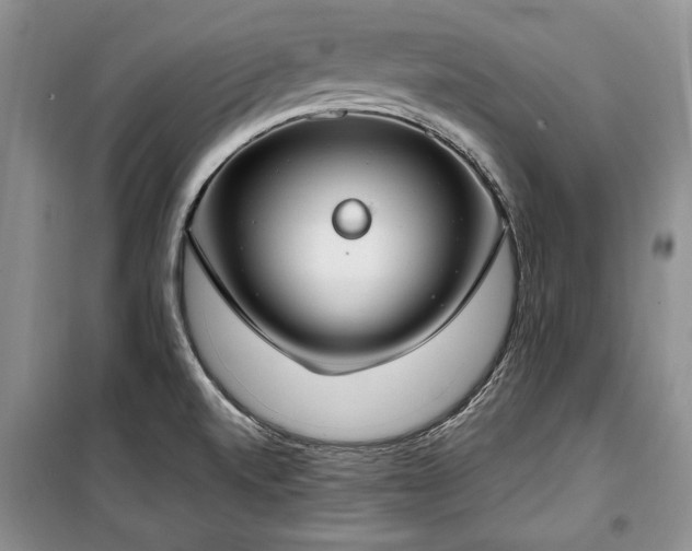 X0000100361520200806131003