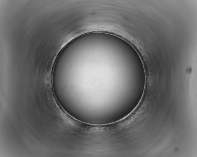 X0000100361521200806131003