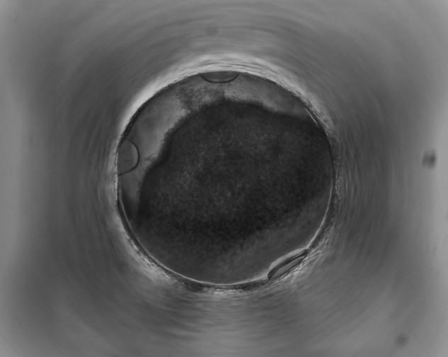 X0000100361522200806131003