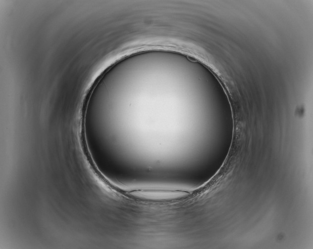 X0000100361523200806131003