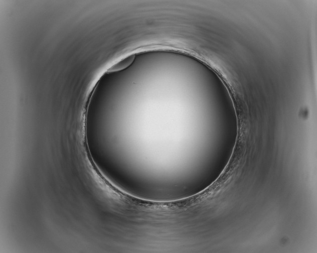 X0000100361524200806131003