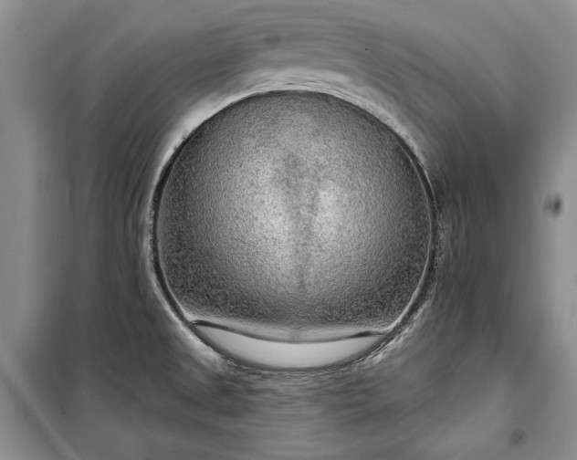 X0000100361525200806131003