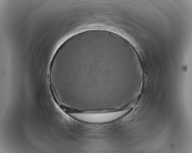 X0000100361527200806131003