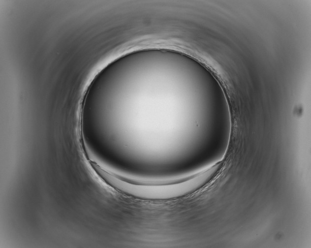 X0000100361528200806131003