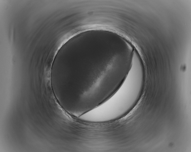 X0000100361529200806131003