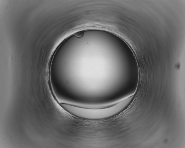 X0000100361531200806131004