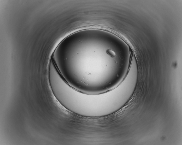 X0000100361532200806131004