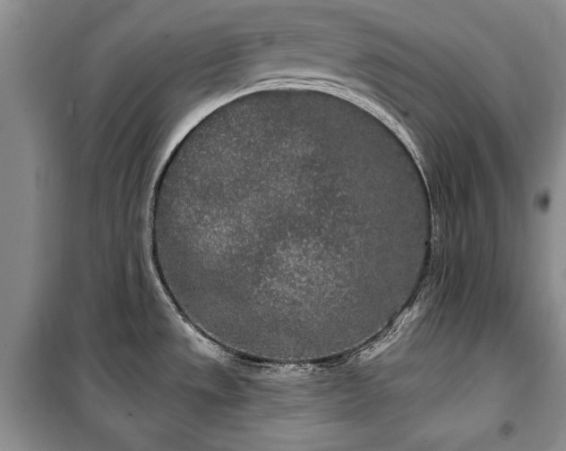 X0000100361533200806131004