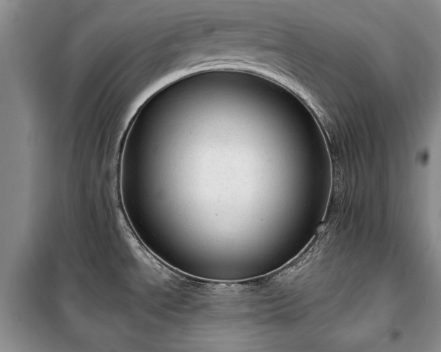 X0000100361534200806131004