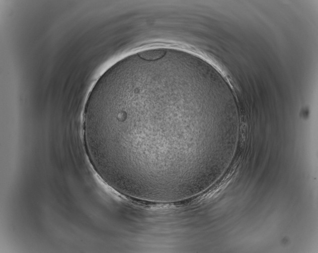 X0000100361535200806131004