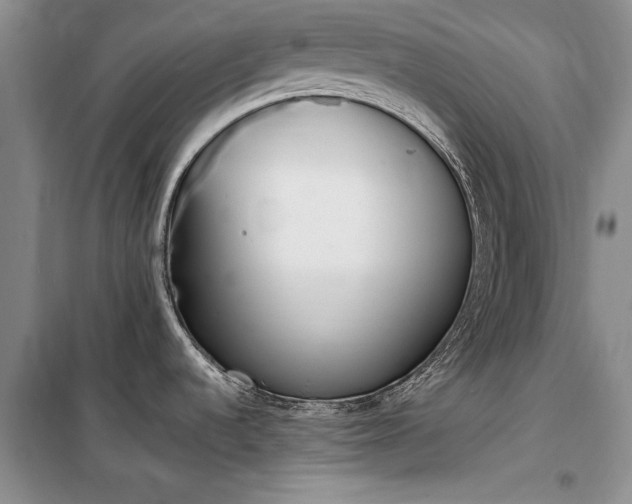 X0000100361536200806131004