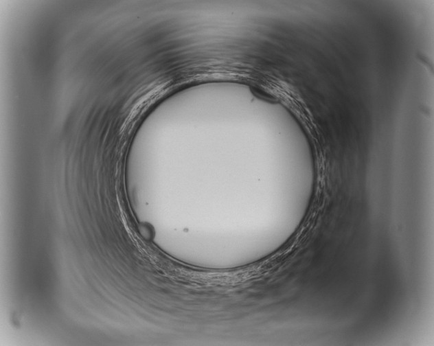 X0000100360001200806201615