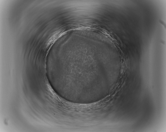 X0000100360002200806201615