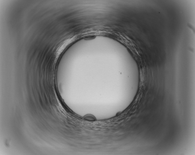 X0000100360003200806201615