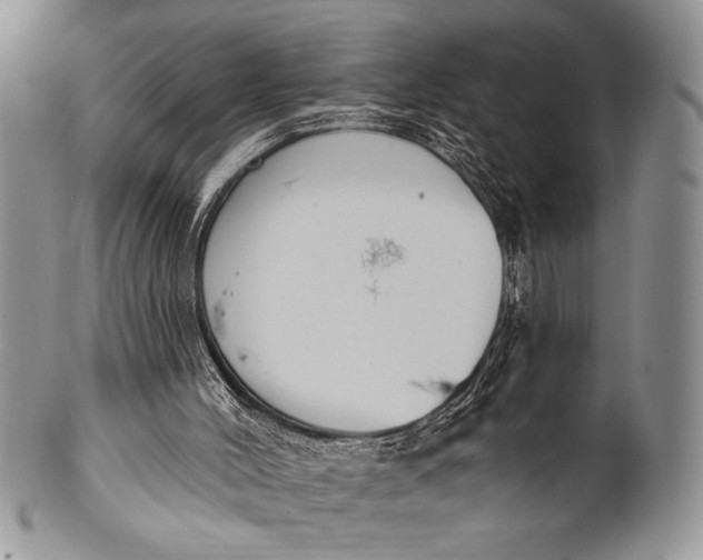 X0000100360004200806201615