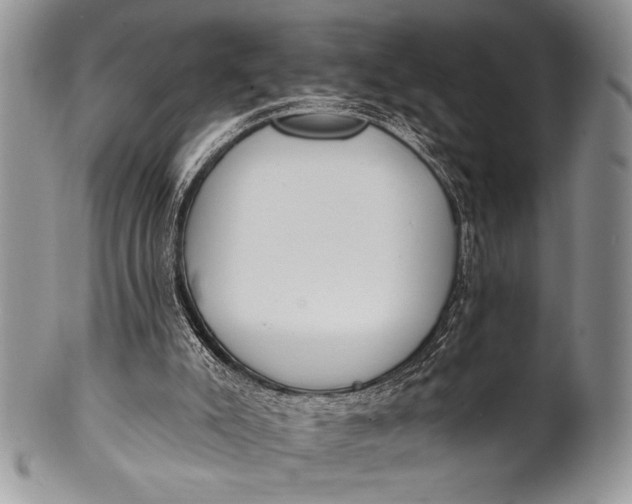 X0000100360007200806201615