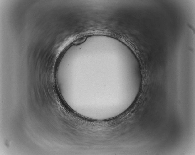 X0000100360008200806201615