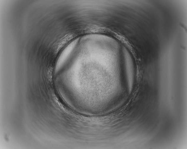 X0000100360010200806201615