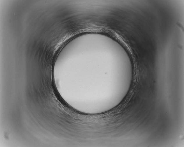 X0000100360011200806201615