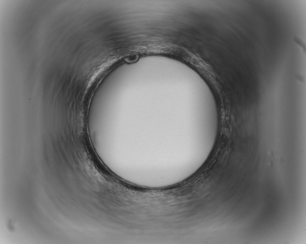 X0000100360012200806201615