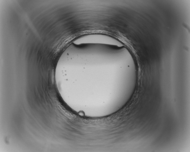 X0000100360013200806201615