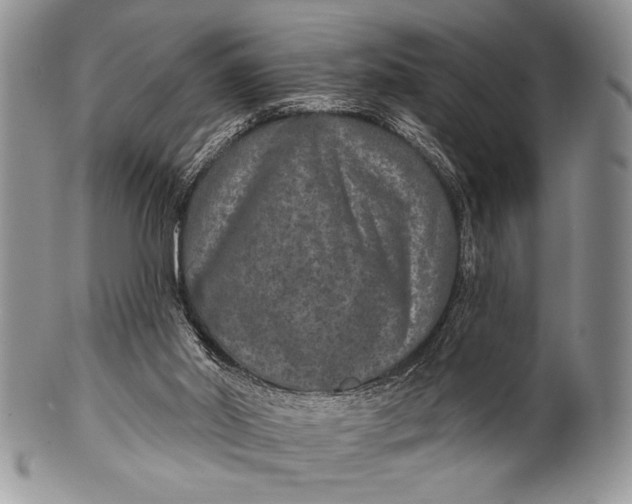 X0000100360014200806201615