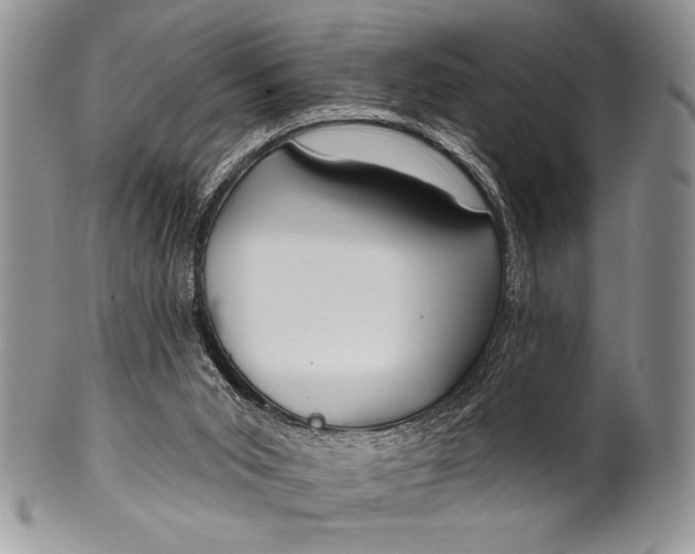 X0000100360015200806201615