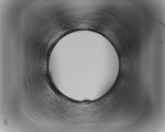 X0000100360016200806201615