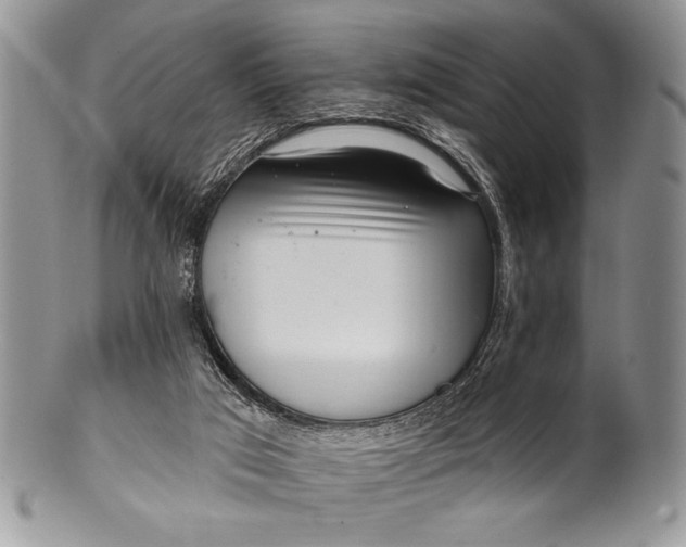 X0000100360017200806201615