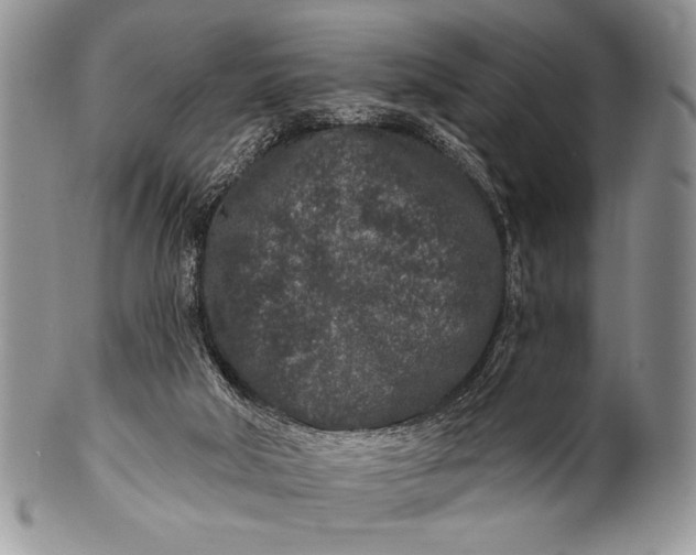 X0000100360018200806201615