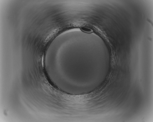 X0000100360019200806201615