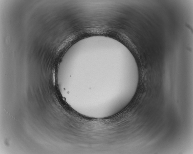 X0000100360020200806201615