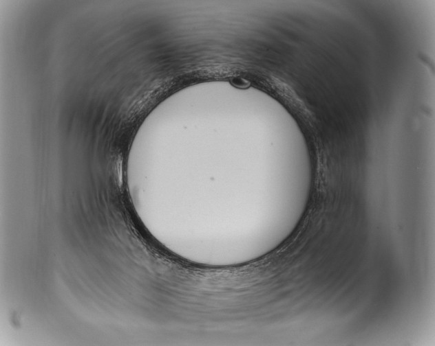 X0000100360021200806201615