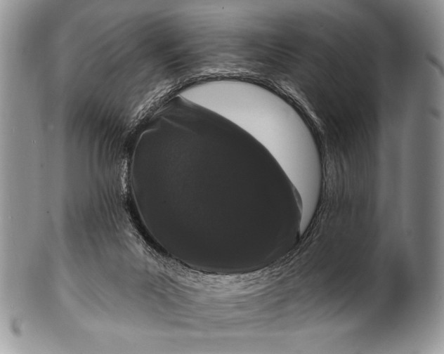 X0000100360023200806201615