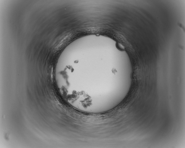 X0000100360024200806201615