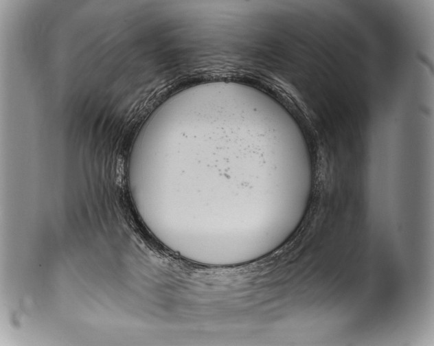 X0000100360025200806201615