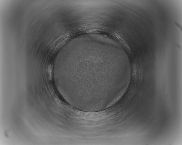 X0000100360026200806201615