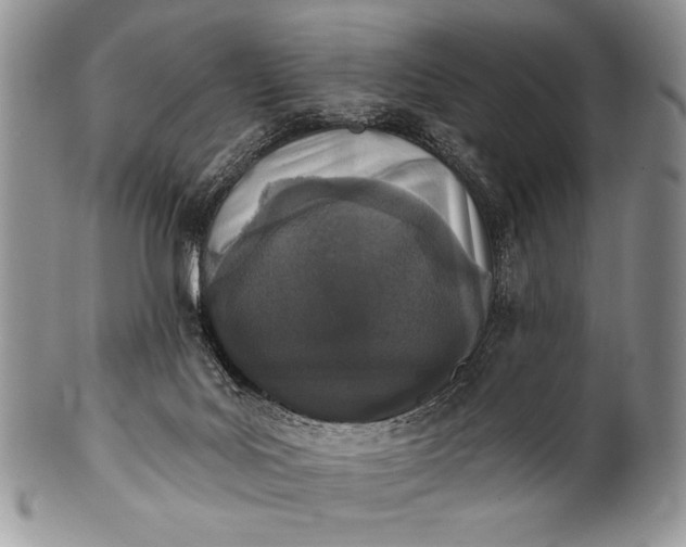 X0000100360027200806201615