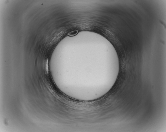 X0000100360028200806201615