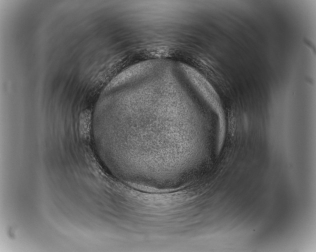 X0000100360030200806201615