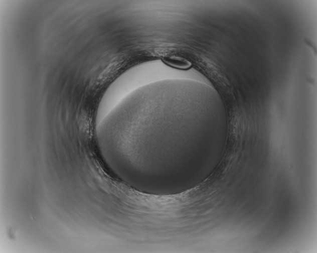 X0000100360031200806201615