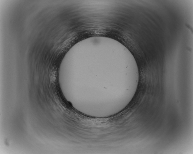 X0000100360032200806201614