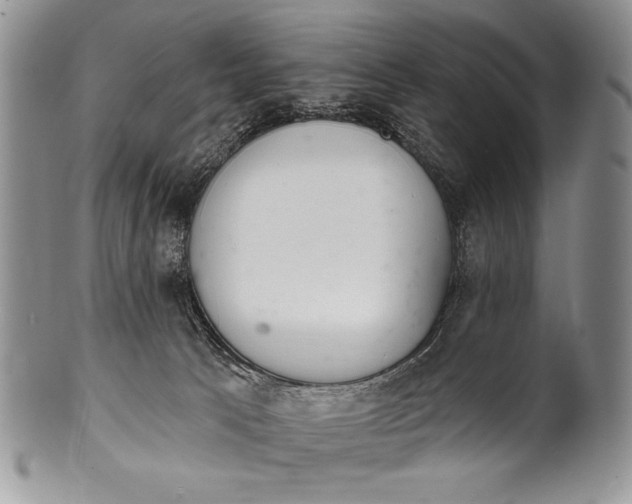 X0000100360033200806201614