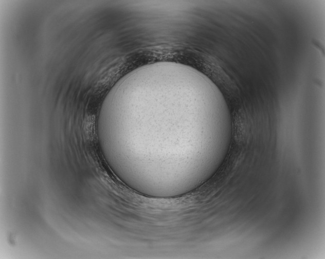 X0000100360034200806201614