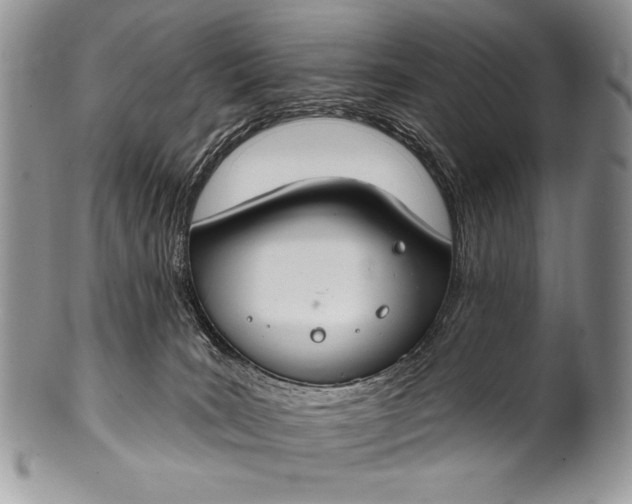 X0000100360035200806201614