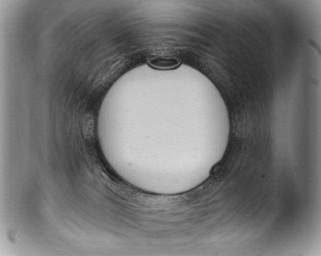 X0000100360036200806201614