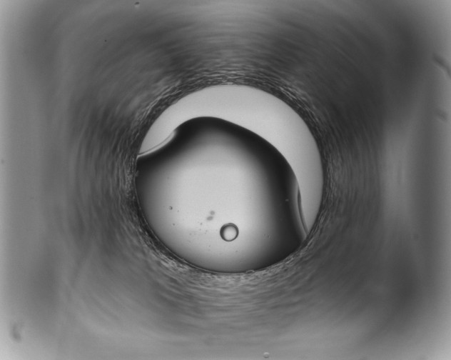 X0000100360037200806201614