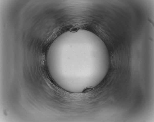 X0000100360038200806201614